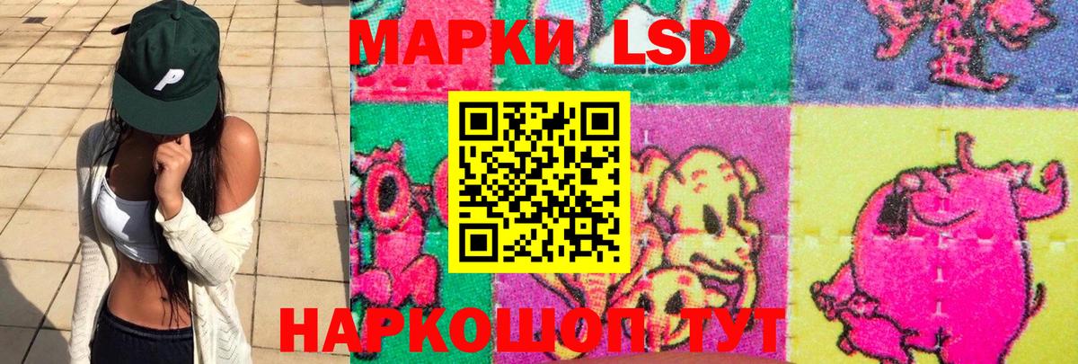 Кохма  APVP СК   ЭКСТАЗИ  ГАШИШ  Конопля  Кокаин  Мефедрон   ГАШ  Вход с VPN  Где найти наркотики? 