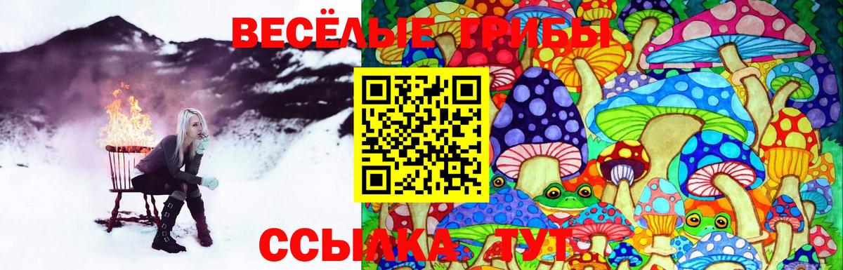 Псилоцибиновые грибы MAGIC MUSHROOMS Кохма